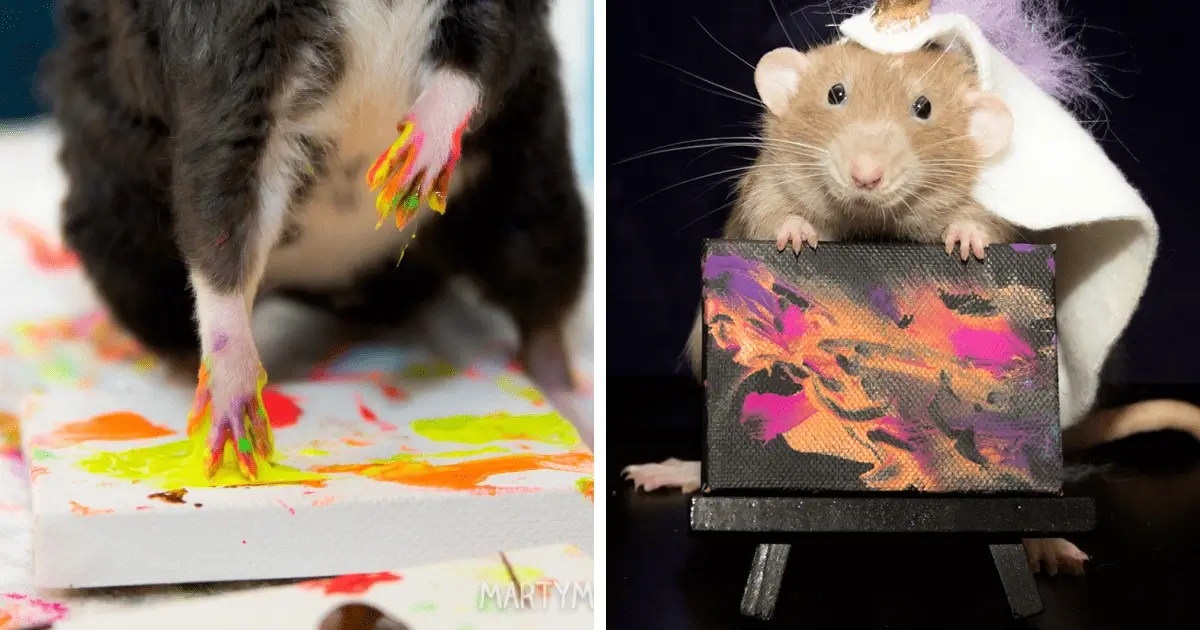 Painting rats